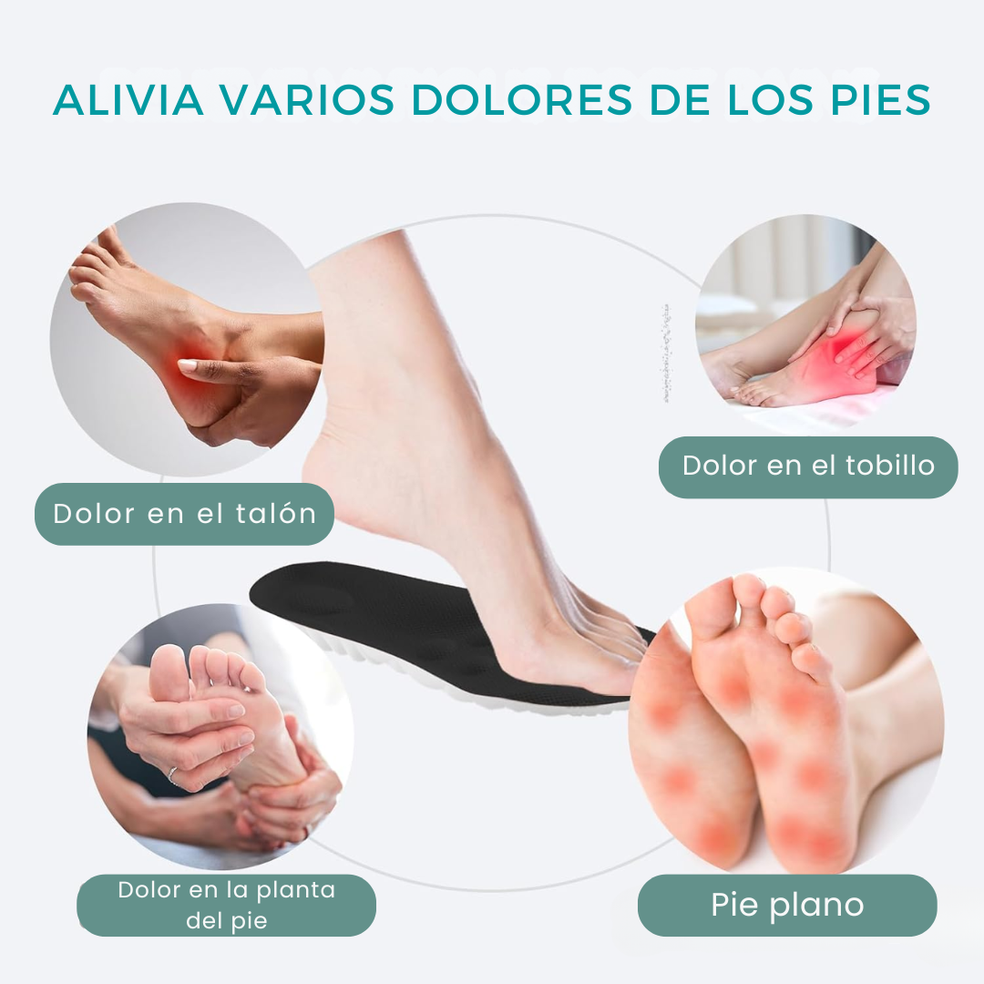 Plantillas Masajeadoras